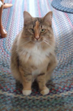 Molly
